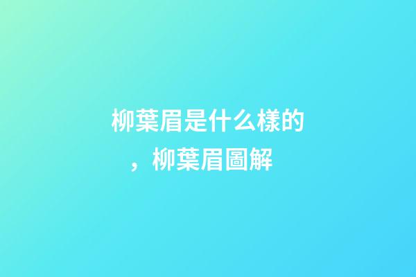 柳葉眉是什么樣的，柳葉眉圖解